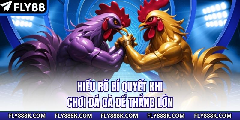 Hiểu rõ bí quyết khi chơi đá gà để thắng lớn