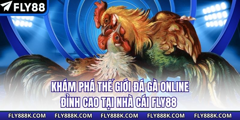 Khám Phá Thế Giới Đá Gà Online Đỉnh Cao Tại Nhà Cái Fly88
