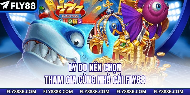Lý do nên chọn tham gia cùng nhà cái Fly88